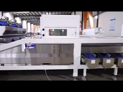 Macadamias που ταξινομούν τον εξοπλισμό