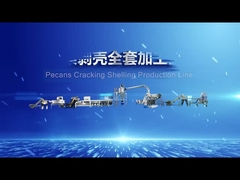 Ευφυή πεκάν που ραγίζουν ξεφλουδίζοντας τη γραμμή παραγωγής