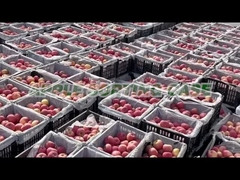 Ταξινομώντας μηχανή της Apple