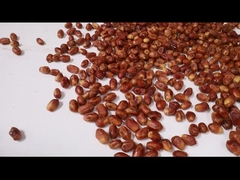 Μηχανή διαλογής χοιροειδών