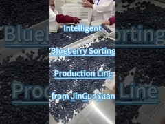 Γραμμή διαλογής μύρτιλων από JGY